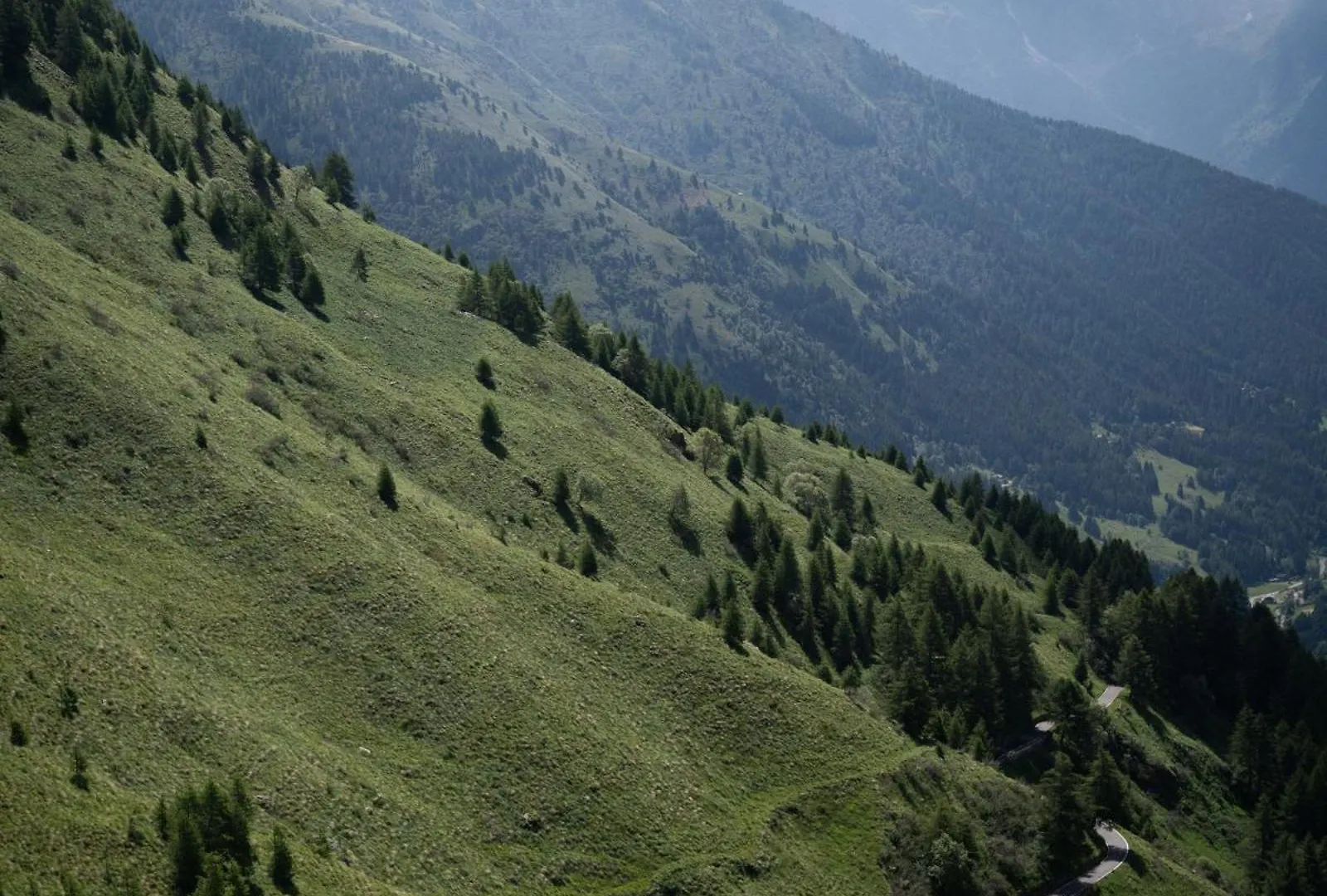 La Genzianella Bormio Hotel